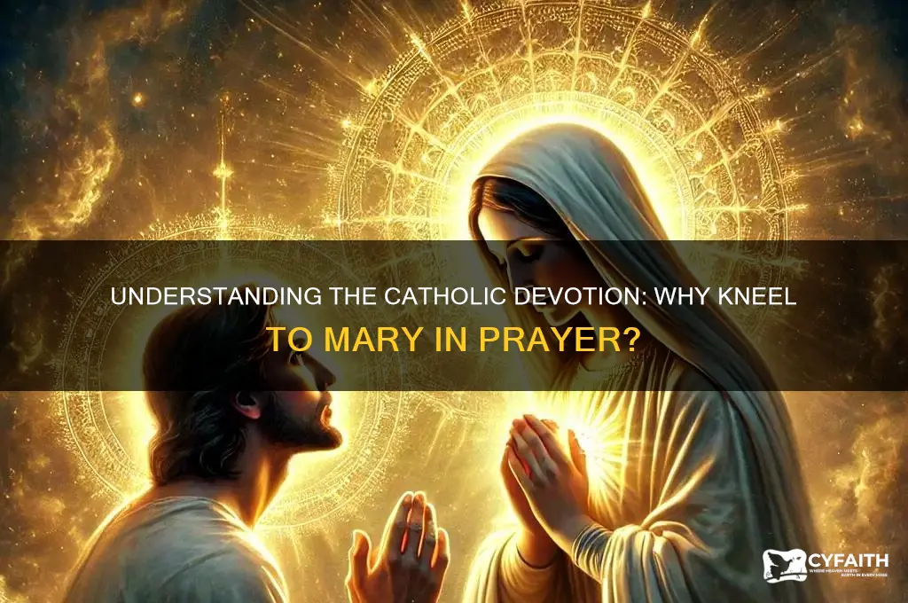 why do catholics kneel to mary