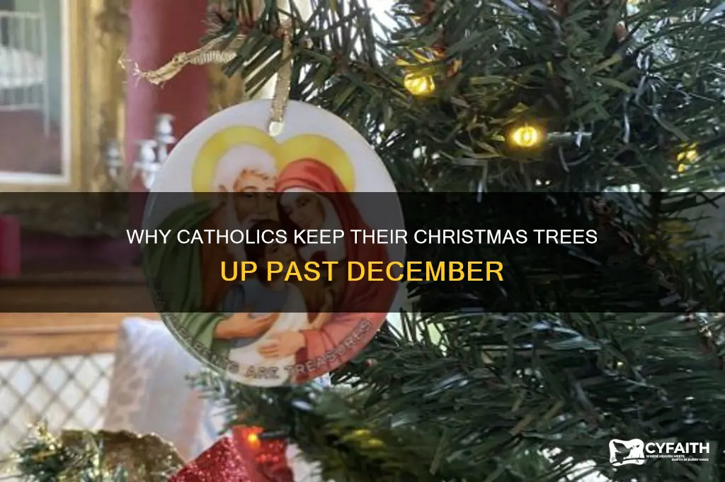 why do catholics leave christmas tree up