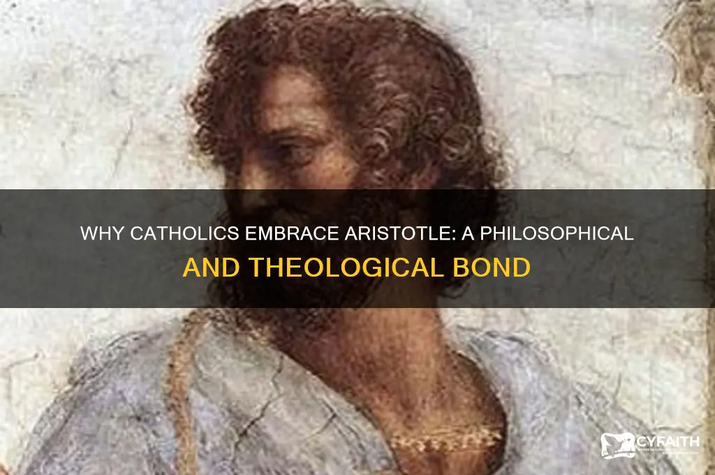why do catholics like aristotle