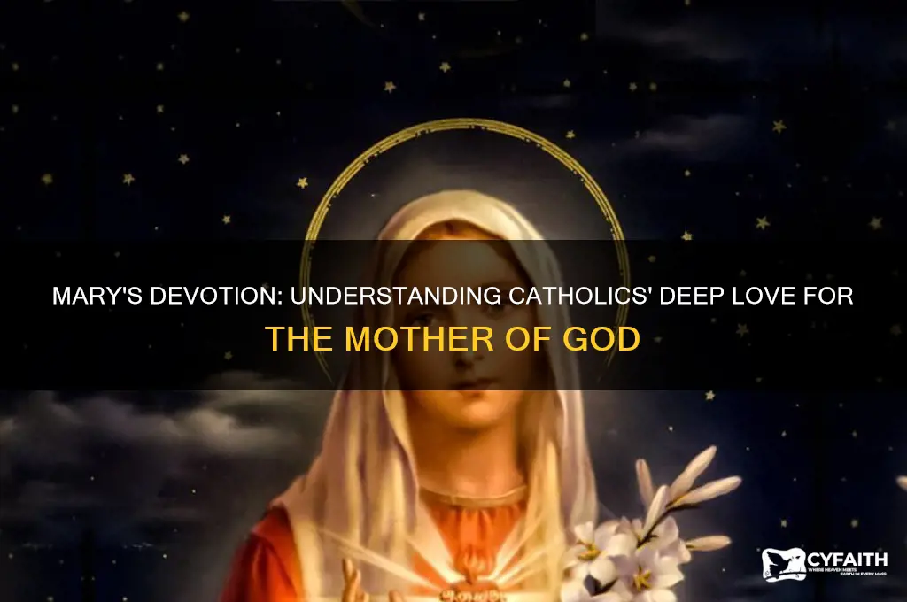 why do catholics like mary so much