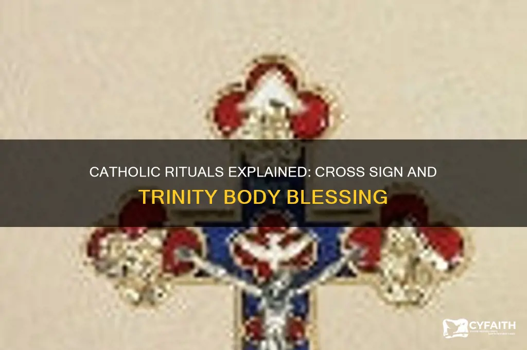 why do catholics make cross and say trinity pver body