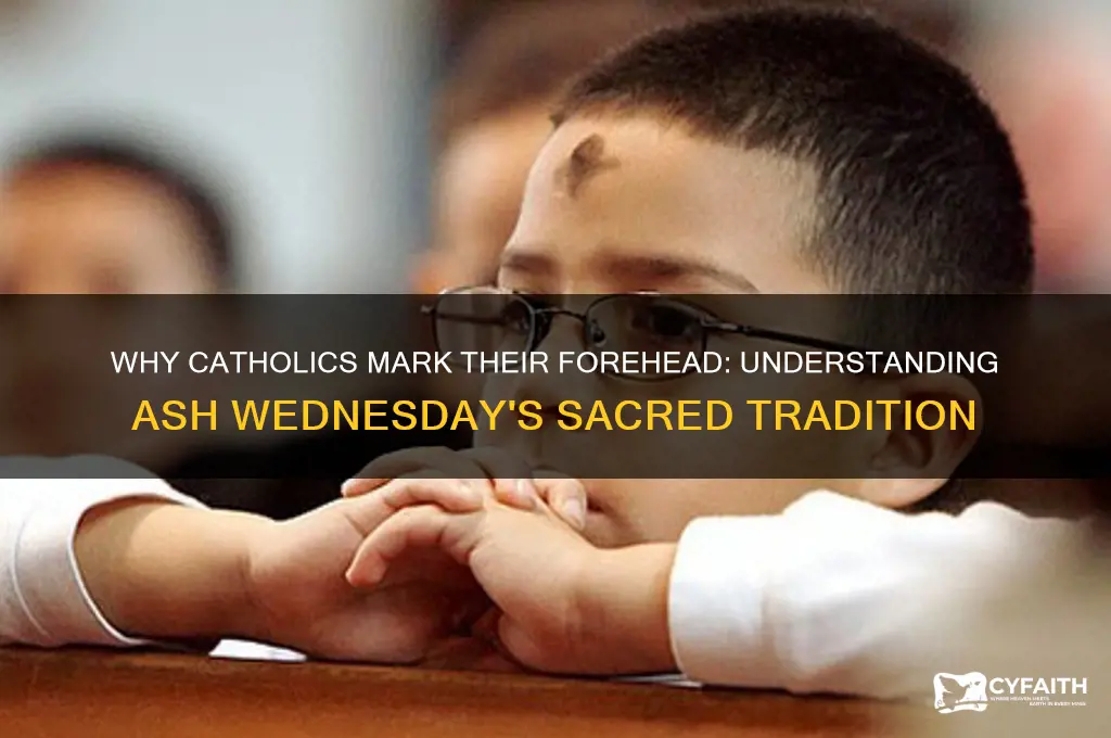 why do catholics mark their forehead