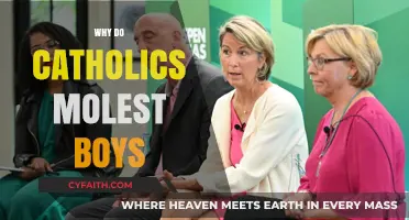 Understanding the Catholic Church's Boy Sexual Abuse Crisis: Causes and Consequences
