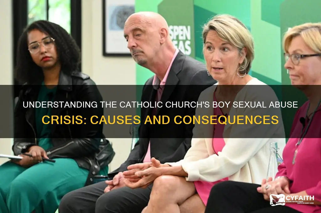 why do catholics molest boys