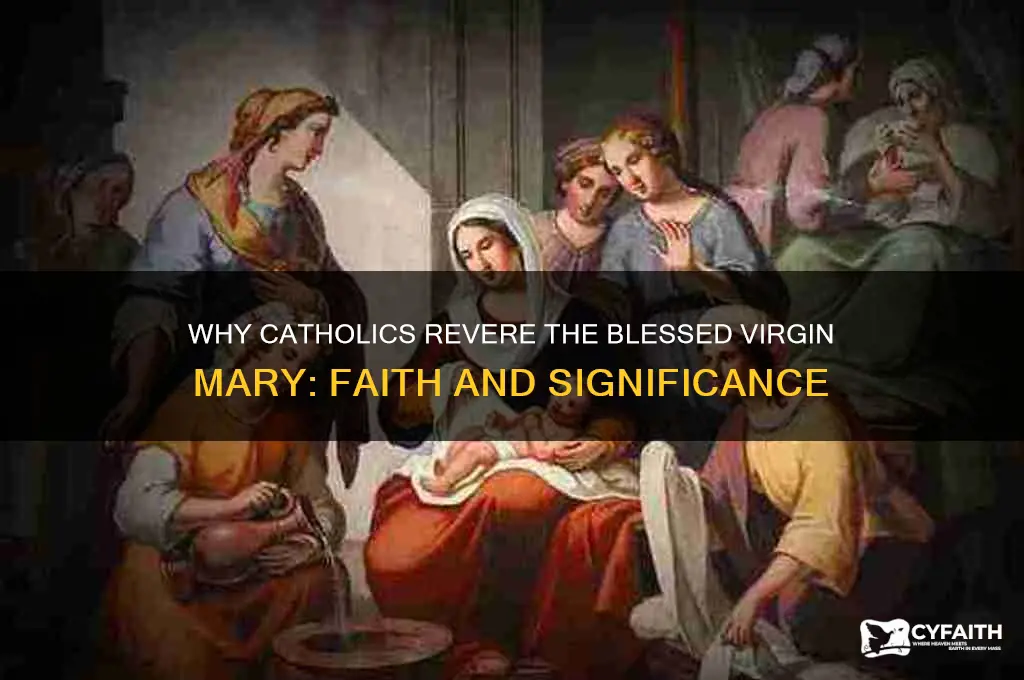why do catholics need a blessed virgin mary