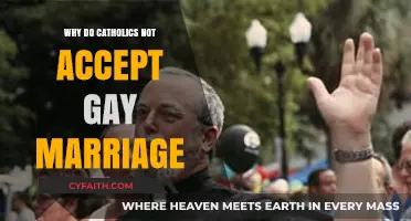 Catholic Doctrine and the Rejection of Same-Sex Marriage: Exploring the Reasons
