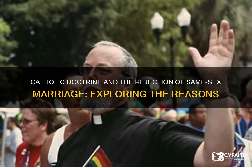 why do catholics not accept gay marriage