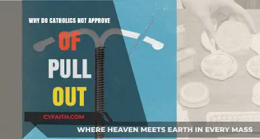 Catholic Teachings on Contraception: Why the Pull-Out Method is Rejected