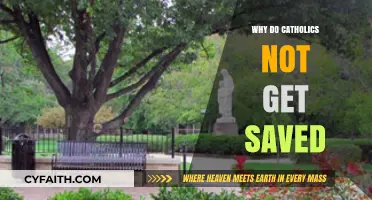 Why Catholics Struggle with the Concept of Salvation: A Deep Dive