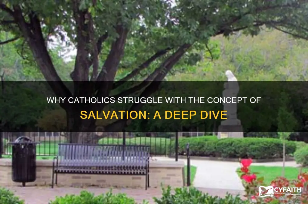 why do catholics not get saved