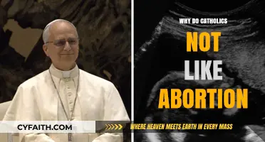 Understanding Catholic Opposition to Abortion: Faith, Morality, and Sanctity of Life