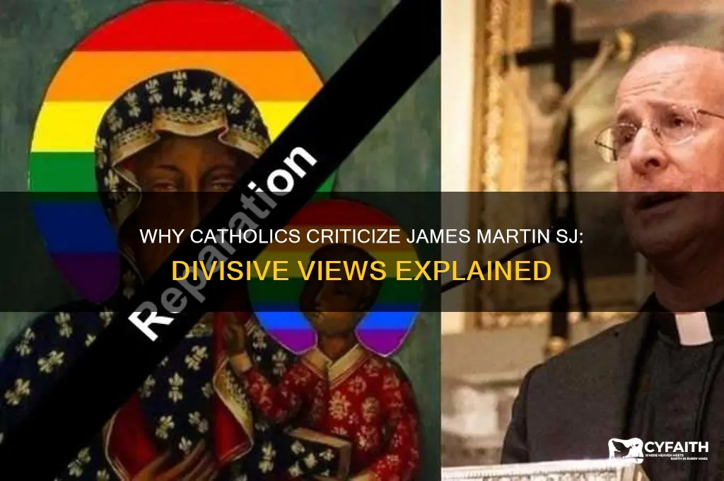 why do catholics not like james martin sj