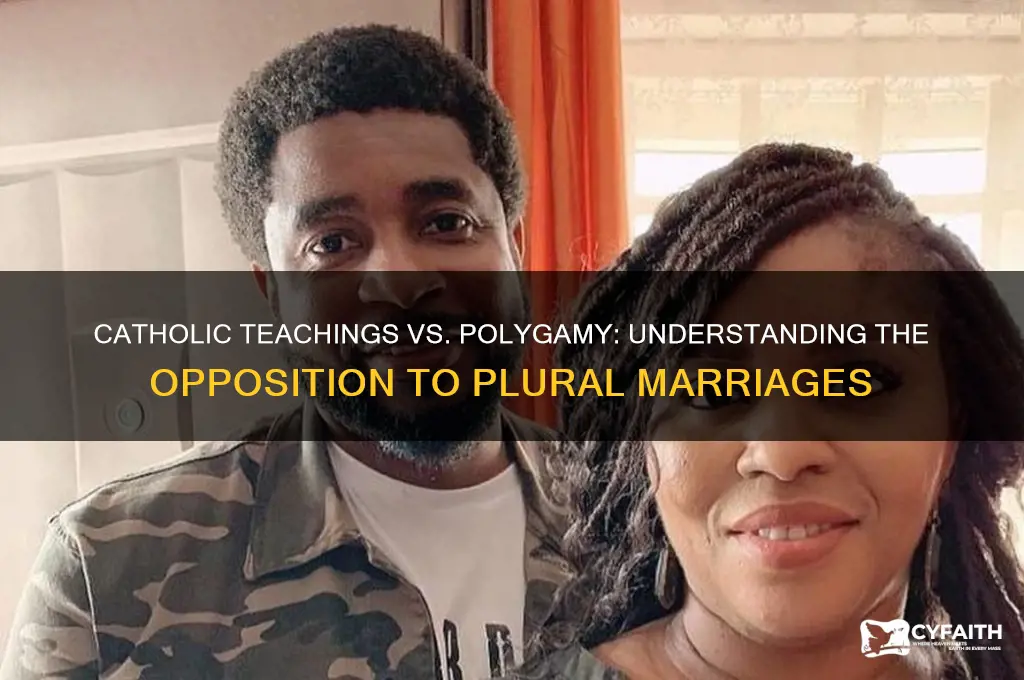 why do catholics not like polygamous marraiges