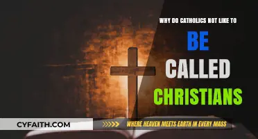 Why Catholics Prefer 'Catholic' Over 'Christian': A Faith Identity Explained