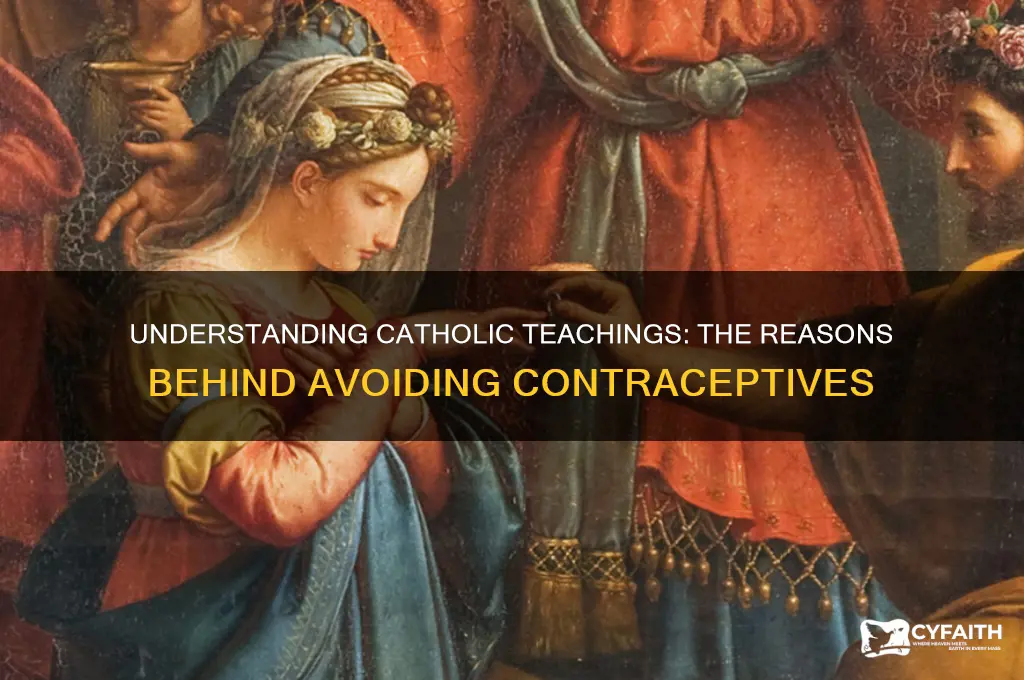 why do catholics not use contraceptives