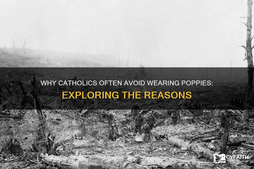 why do catholics not wear poppies