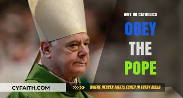 Why Catholics Revere and Obey the Pope's Authority