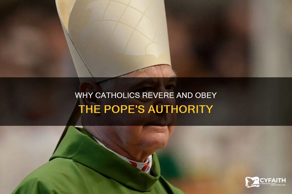 why do catholics obey the pope