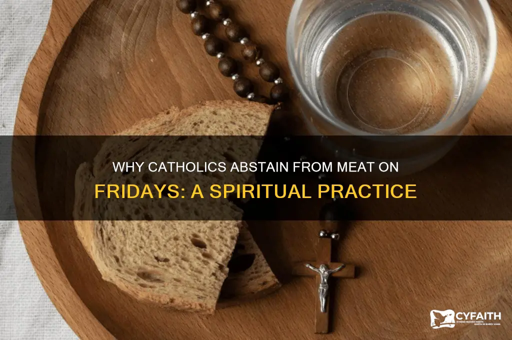 why do catholics obstain from meat