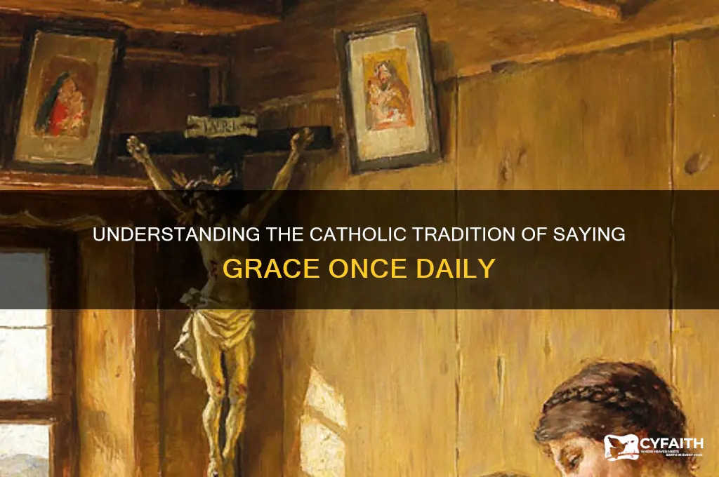 why do catholics only say grace once per day