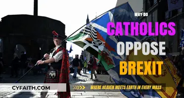 Why Catholics Oppose Brexit: Faith, Solidarity, and European Unity