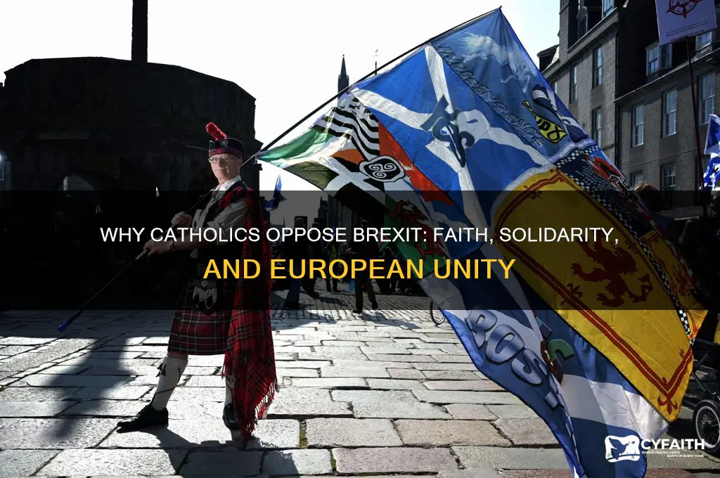 why do catholics oppose brexit