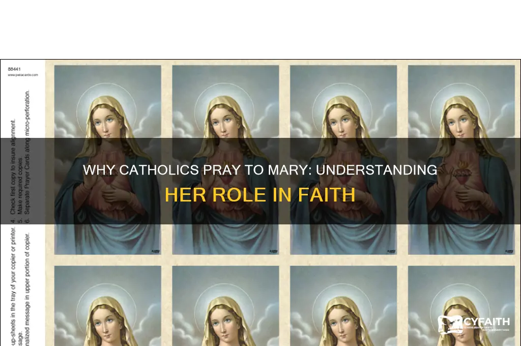 why do catholics oray to mary