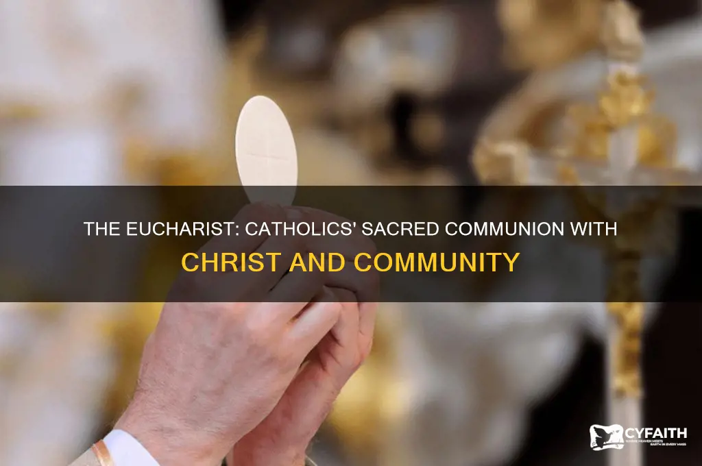 why do catholics participate in eucharist