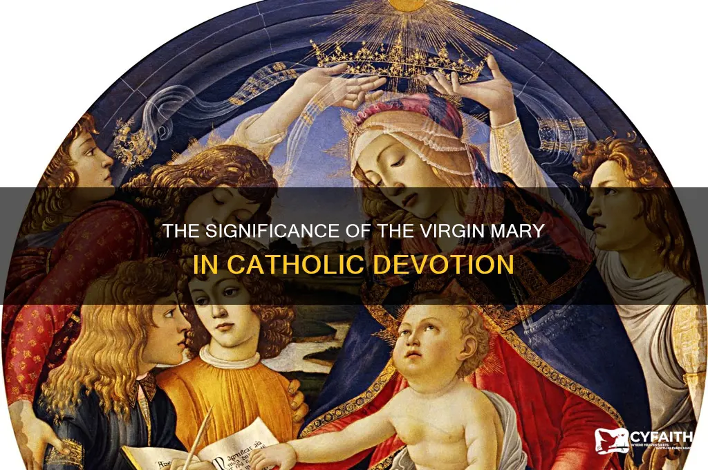 why do catholics place so much importance on virgin mary