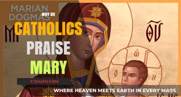 Why Catholics Honor Mary: Exploring Her Role in Faith and Devotion