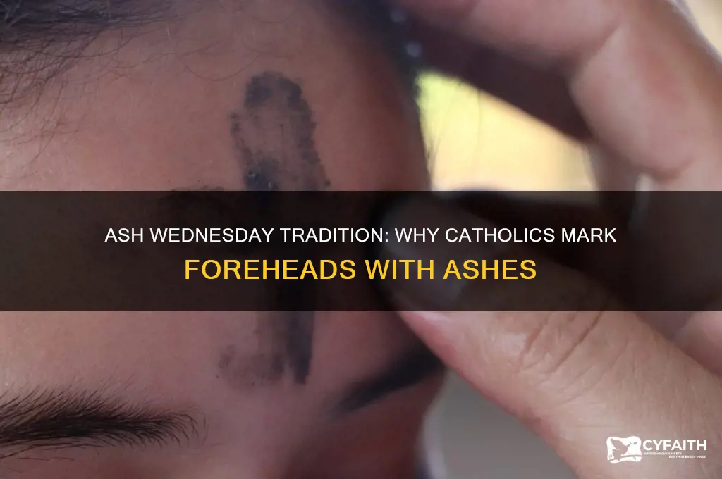 why do catholics put ash on their foreheads for ashwednesdya
