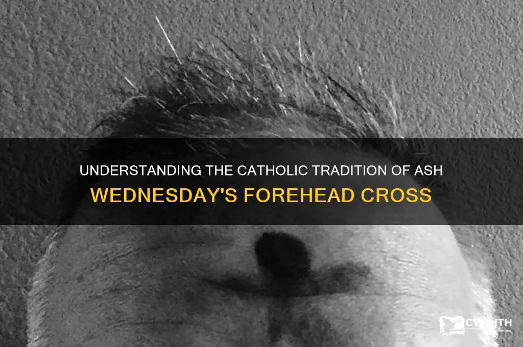 why do catholics put crosses on their forehead