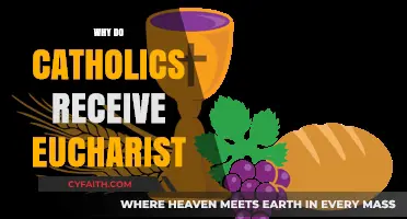 The Eucharist: A Sacred Communion in Catholic Faith and Tradition