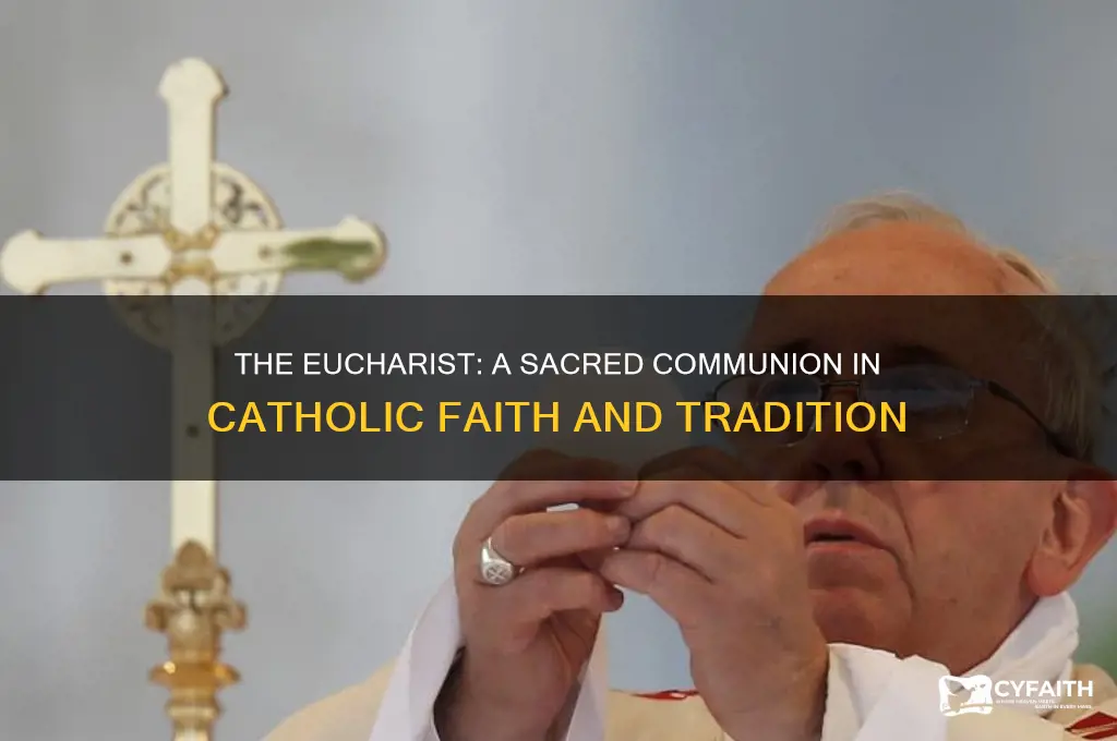 why do catholics receive eucharist