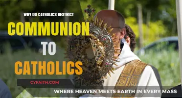 Understanding Catholic Communion Restrictions: Faith, Unity, and Sacramental Integrity
