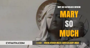 Understanding the Catholic Devotion: Mary's Role and Reverence Explained