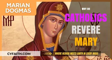 Why Catholics Revere Mary: Exploring Her Role in Faith and Devotion
