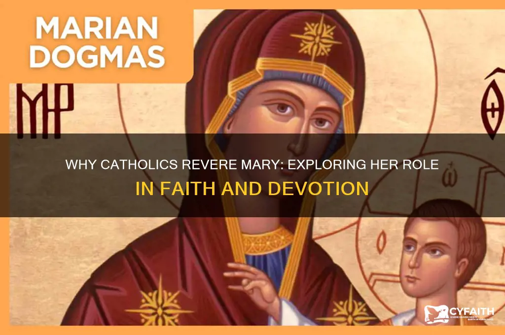 why do catholics revere mary