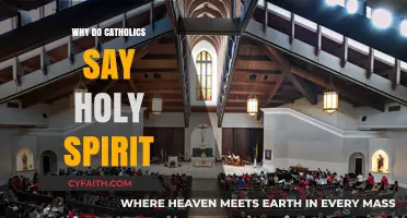 Why Catholics Invoke the Holy Spirit: A Sacred Tradition Explained