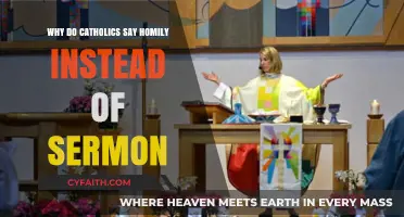 Homily vs. Sermon: Understanding Catholic Liturgy's Unique Preaching Tradition