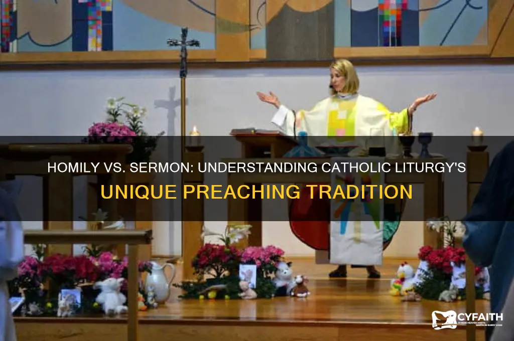 why do catholics say homily instead of sermon