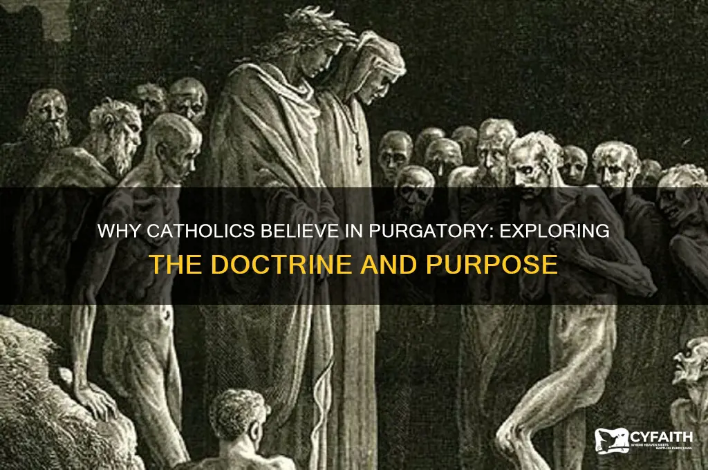 why do catholics say there is purgatory