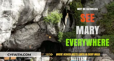 Mary's Ubiquity: Exploring Catholic Devotion and Marian Apparitions Worldwide
