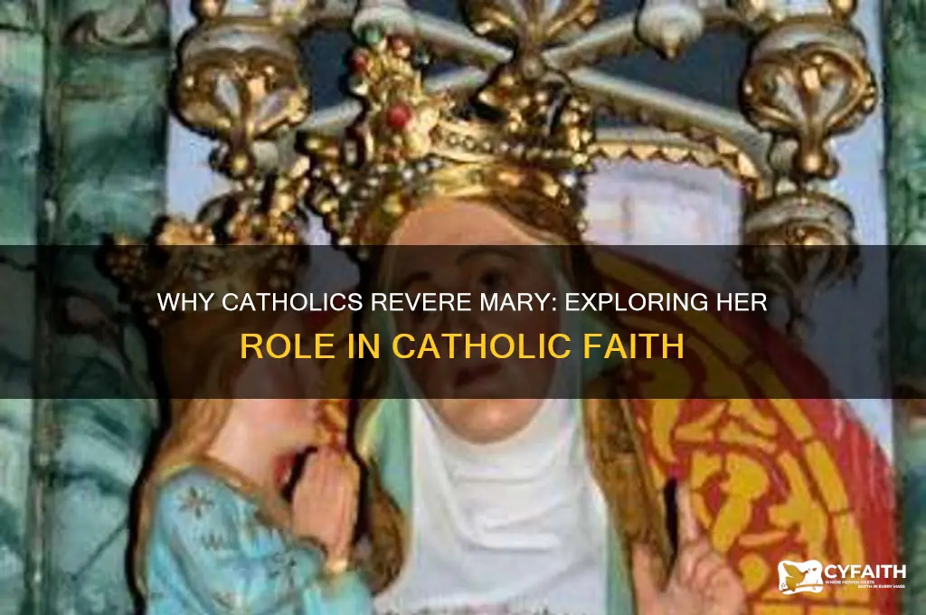 why do catholics see mary
