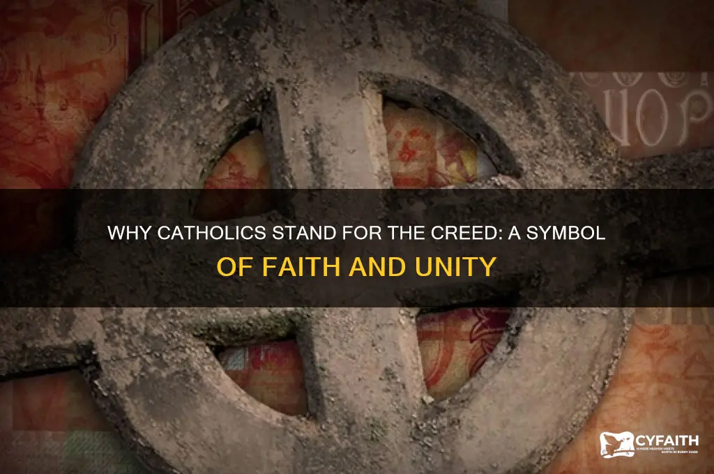 why do catholics stand for the creed