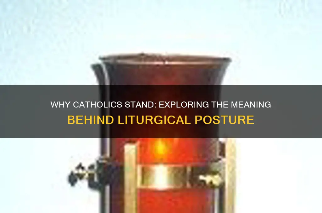 why do catholics stand so much