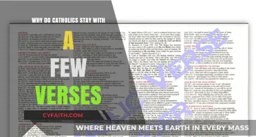 Why Catholics Cherish a Few Verses: Exploring Scriptural Devotion