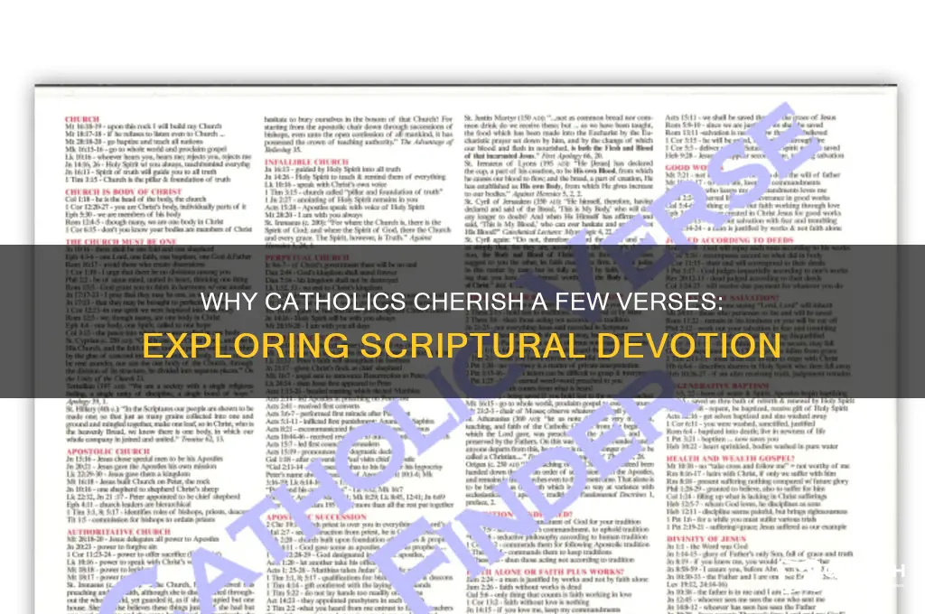 why do catholics stay with a few verses