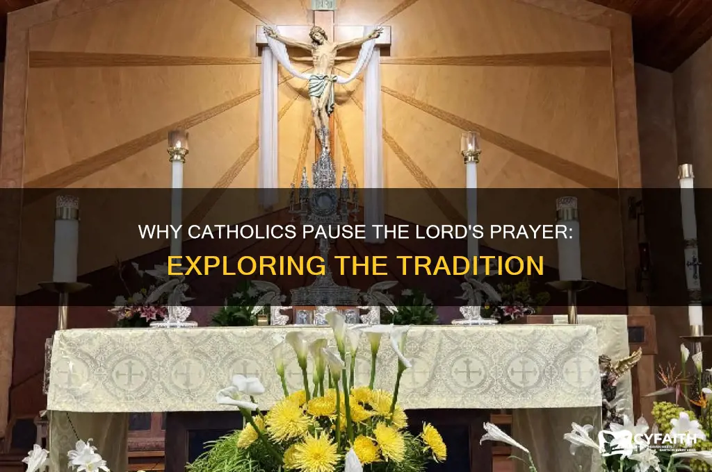 why do catholics stop the lords prayr