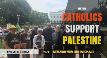 Catholic Solidarity with Palestine: Faith, Justice, and Global Responsibility